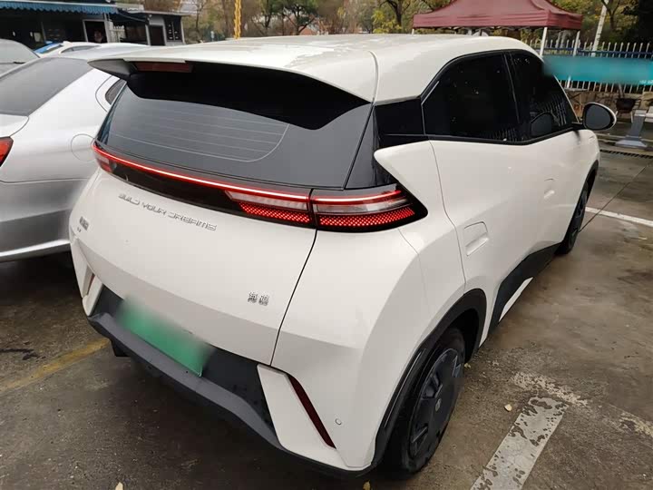 Фото 7 - BYD Seagull