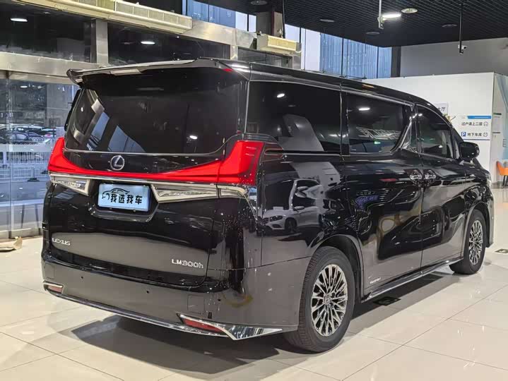 Фото 10 - Lexus LM