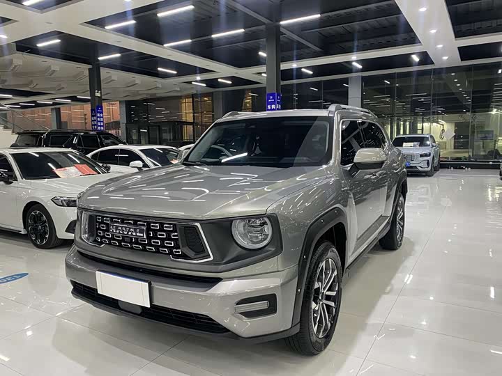 Фото 1 - Haval H-Dog