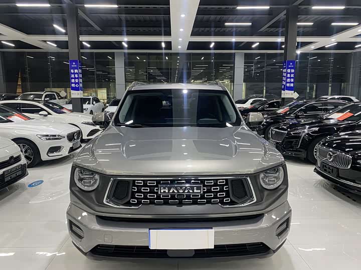 Фото 2 - Haval H-Dog