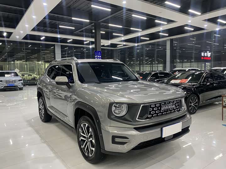 Фото 3 - Haval H-Dog