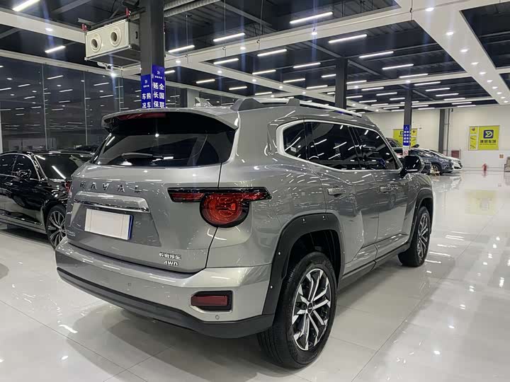 Фото 6 - Haval H-Dog