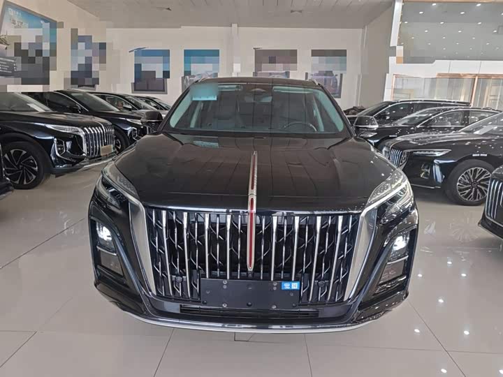Фото 3 - Hongqi HS3 Hybrid