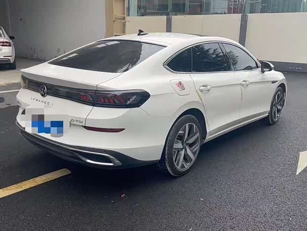 Фото 8 - Volkswagen Lamando L