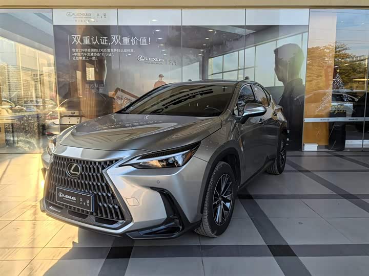 Фото 1 - Lexus NX