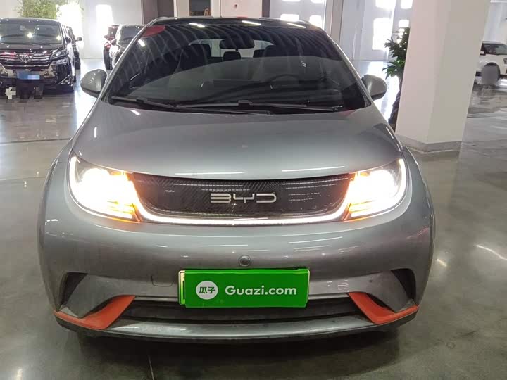 Фото 3 - BYD Dolphin