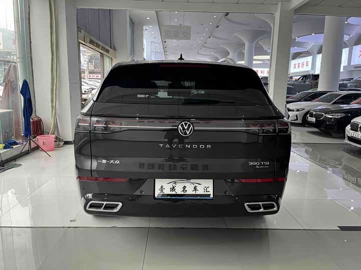 Фото 8 - Volkswagen Tavendor