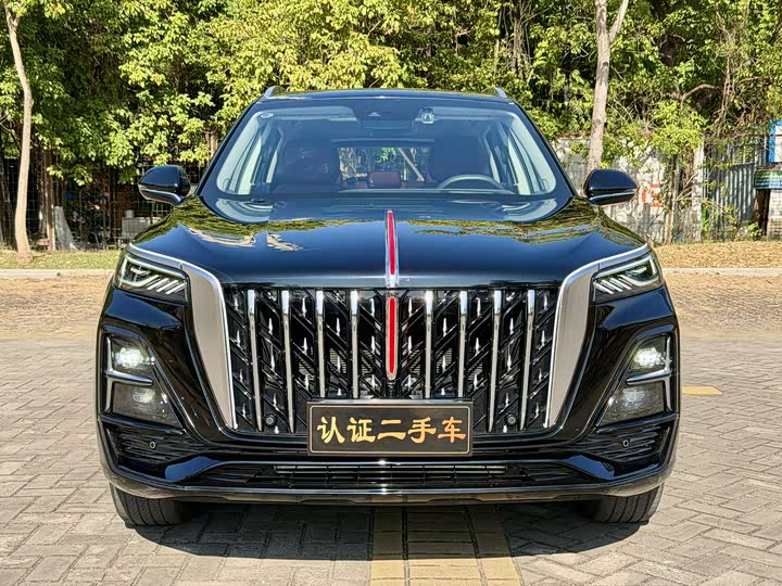 Фото 2 - Hongqi HS5