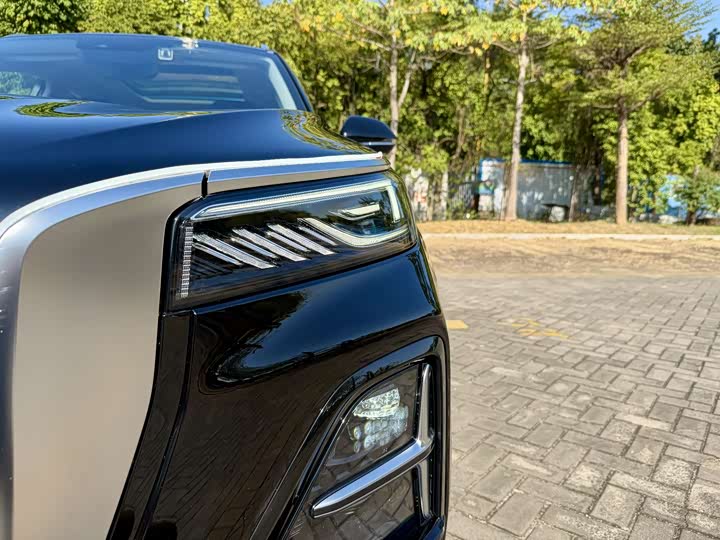 Фото 5 - Hongqi HS5