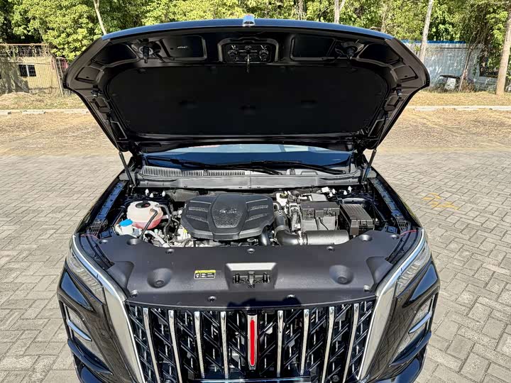 Фото 8 - Hongqi HS5