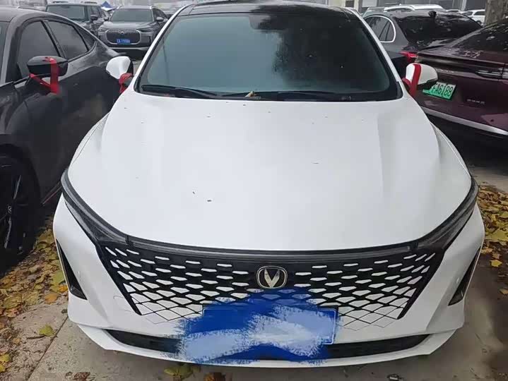 Фото 2 - Changan Raeton Plus