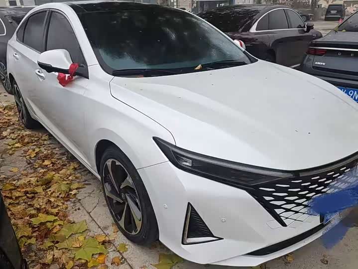 Фото 3 - Changan Raeton Plus