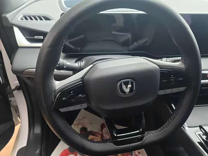 Фото 4 - Changan Raeton Plus