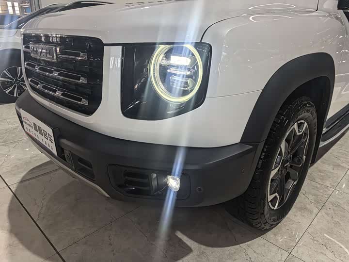 Фото 11 - Haval Dargo