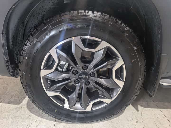 Фото 12 - Haval Dargo