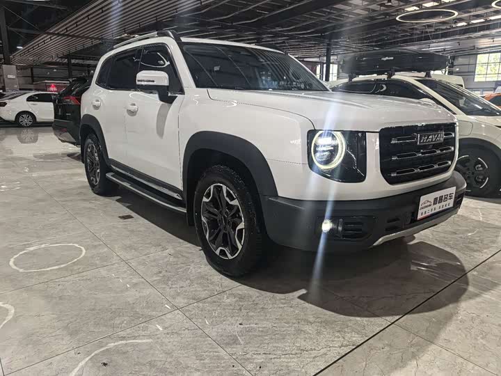 Фото 15 - Haval Dargo