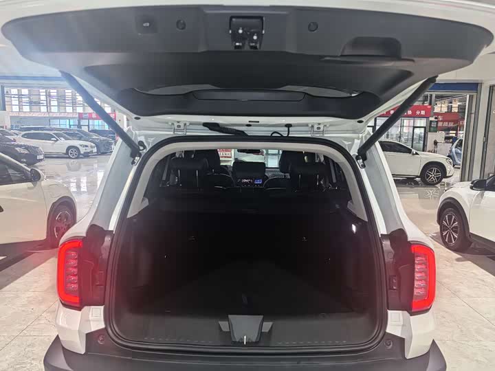 Фото 3 - Haval Dargo