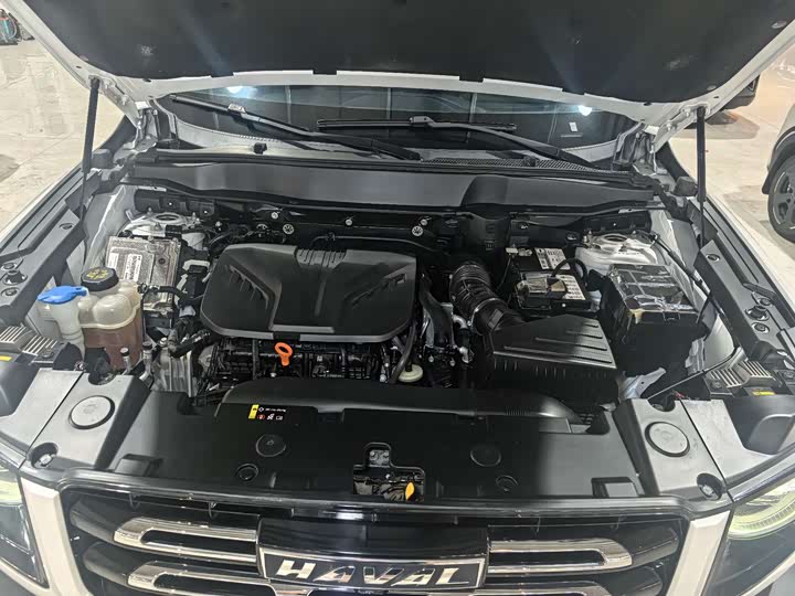 Фото 7 - Haval Dargo