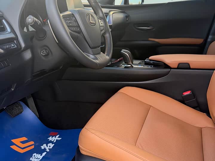 Фото 10 - Lexus UX Hybrid