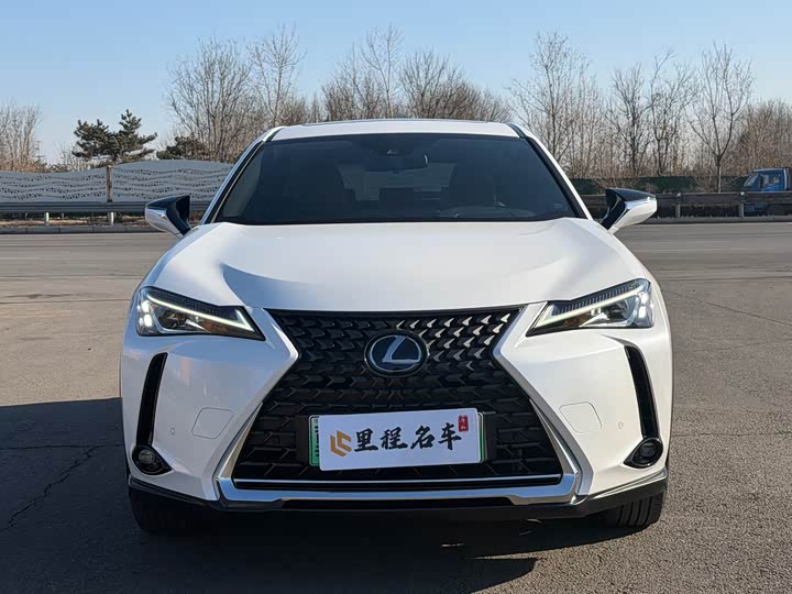 Фото 2 - Lexus UX Hybrid