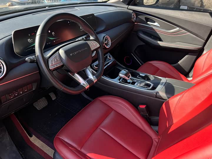 Фото 10 - Dongfeng Forthing T5 EVO