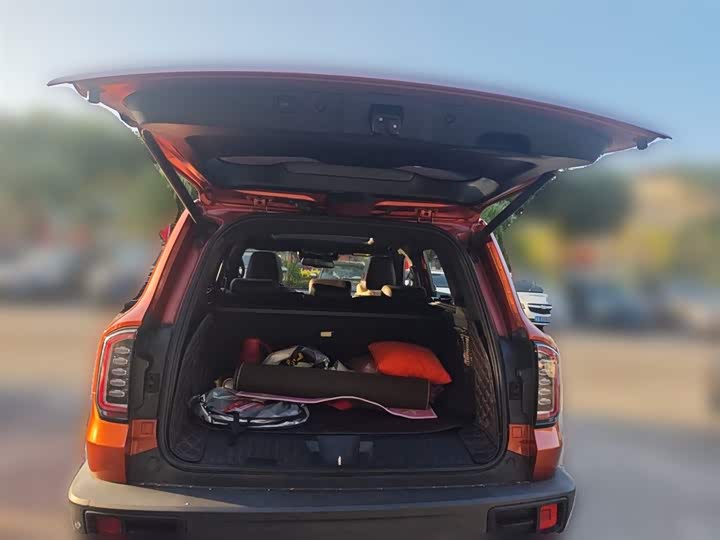 Фото 10 - Haval Dargo