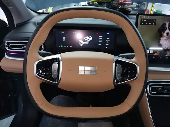 Фото 11 - Geely Galaxy Starshine 6