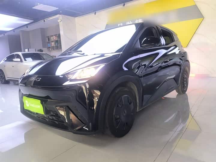 Фото 2 - BYD Seagull