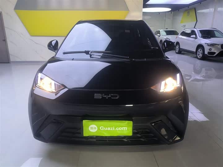 Фото 3 - BYD Seagull