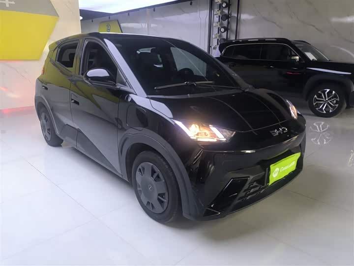 Фото 4 - BYD Seagull