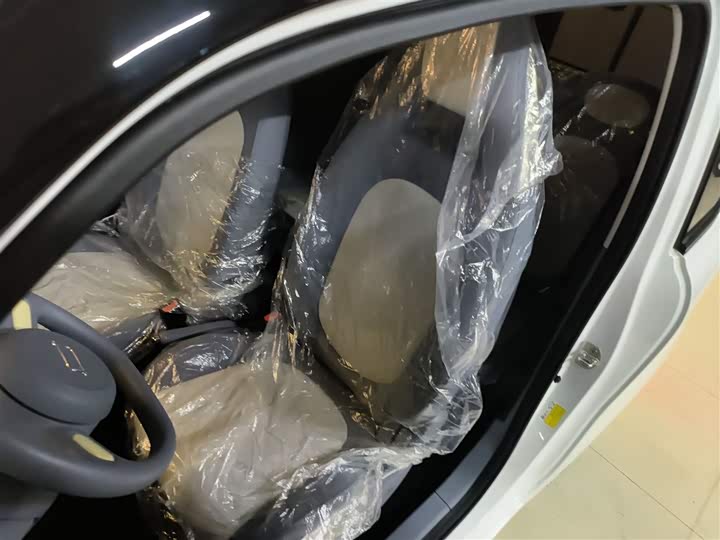 Фото 15 - Bestune Pony