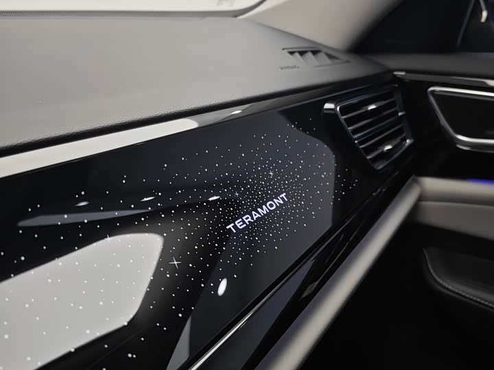 Фото 29 - Volkswagen Teramont Pro