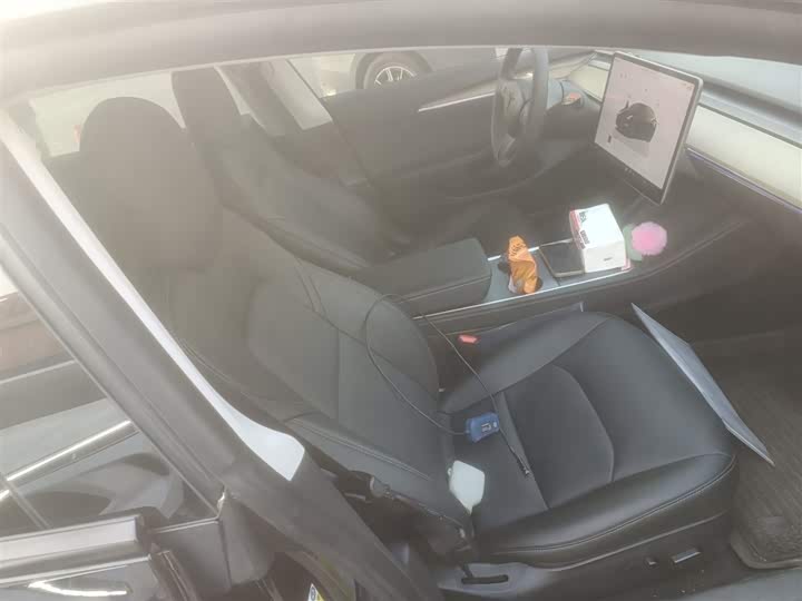 Фото 25 - Tesla Model 3