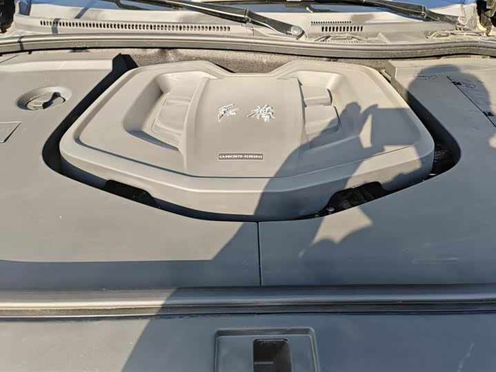 Фото 10 - Hongqi HS7