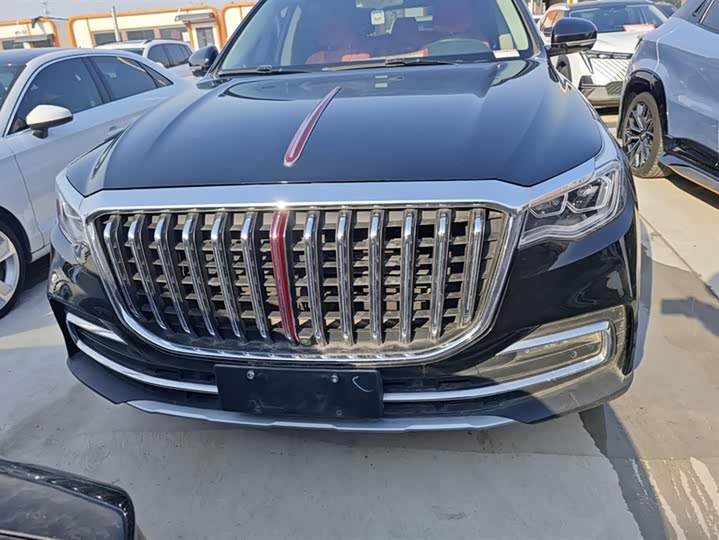 Фото 2 - Hongqi HS7