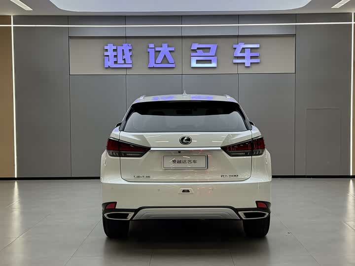 Фото 15 - Lexus RX