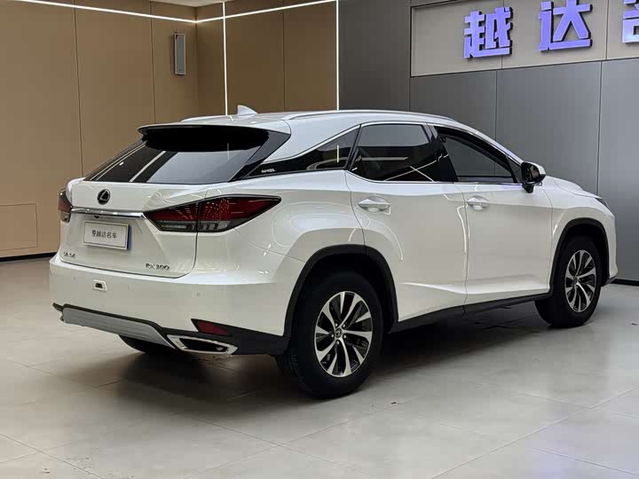 Фото 16 - Lexus RX