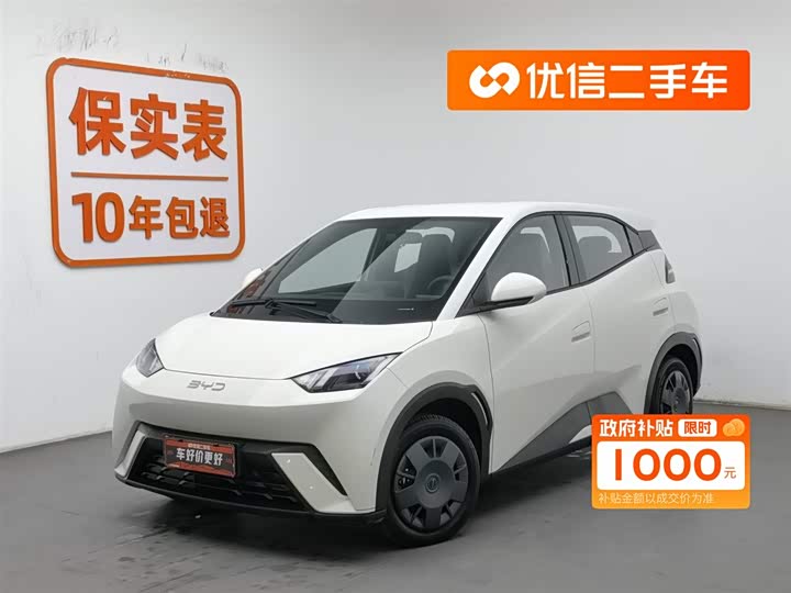 Фото 1 - BYD Seagull