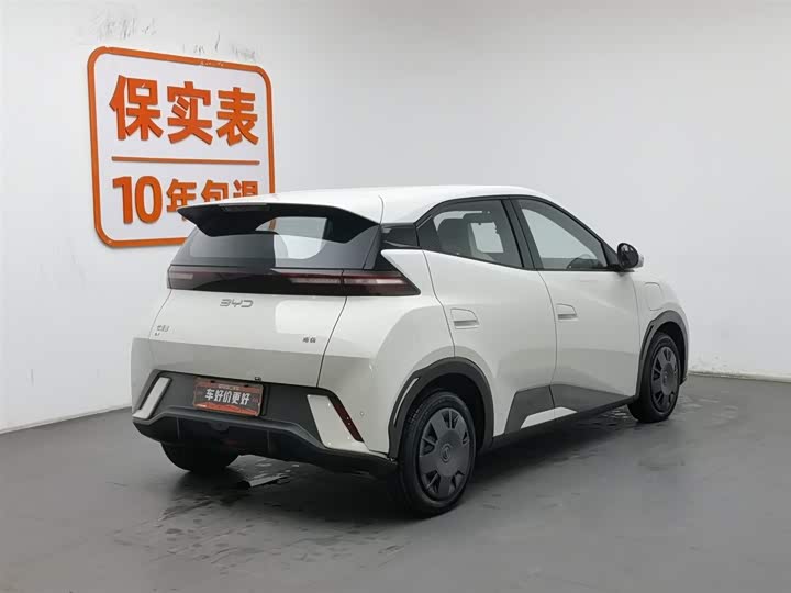 Фото 2 - BYD Seagull