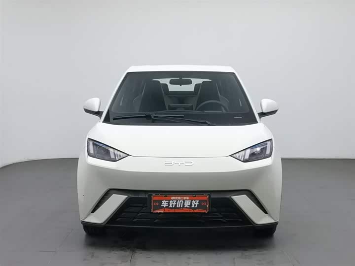 Фото 3 - BYD Seagull