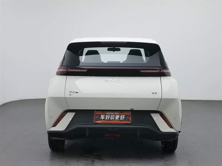 Фото 4 - BYD Seagull