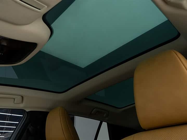 Фото 11 - Lexus RZ