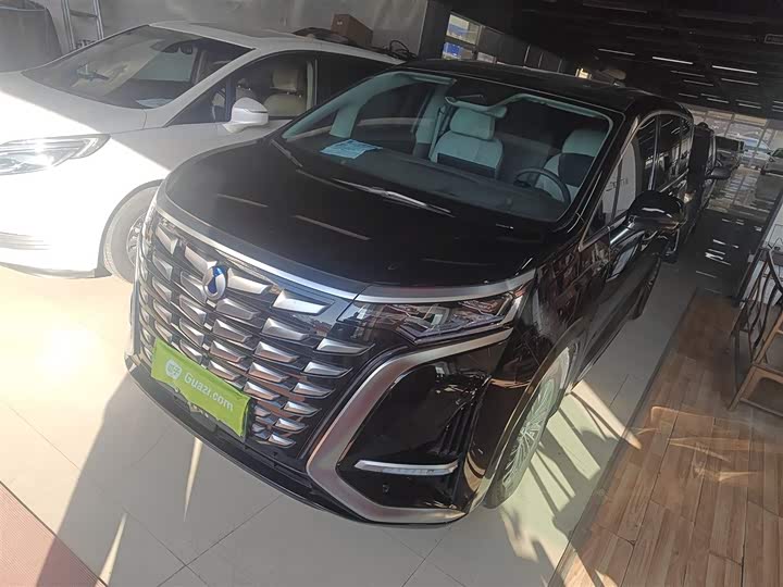 Фото 1 - Denza D9