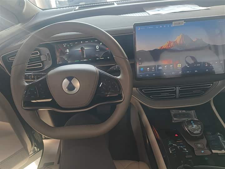 Фото 10 - Denza D9