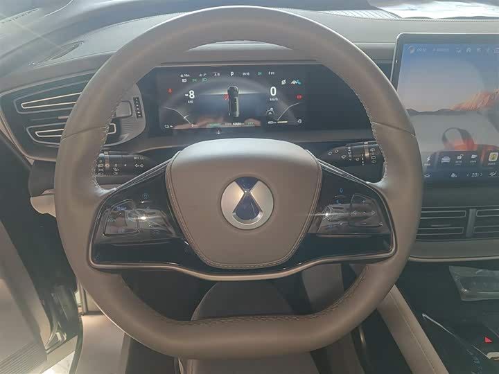 Фото 11 - Denza D9