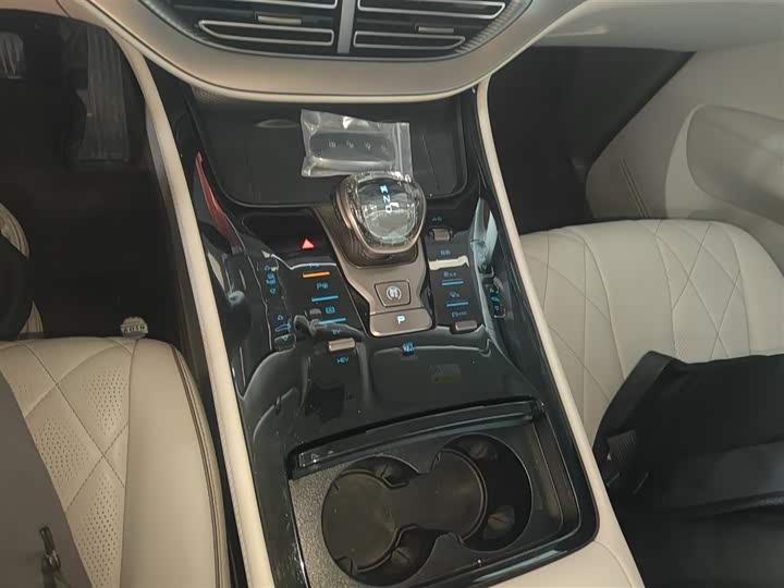 Фото 14 - Denza D9