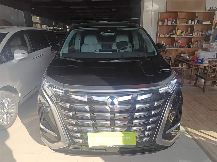 Фото 3 - Denza D9