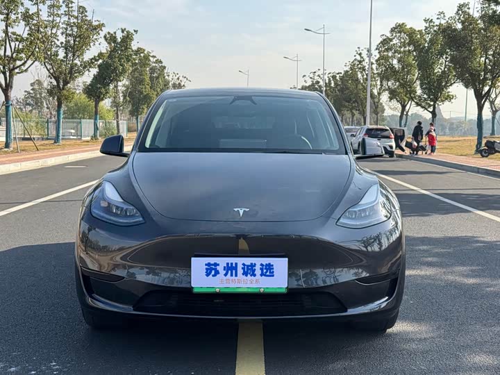 Фото 2 - Tesla Model Y