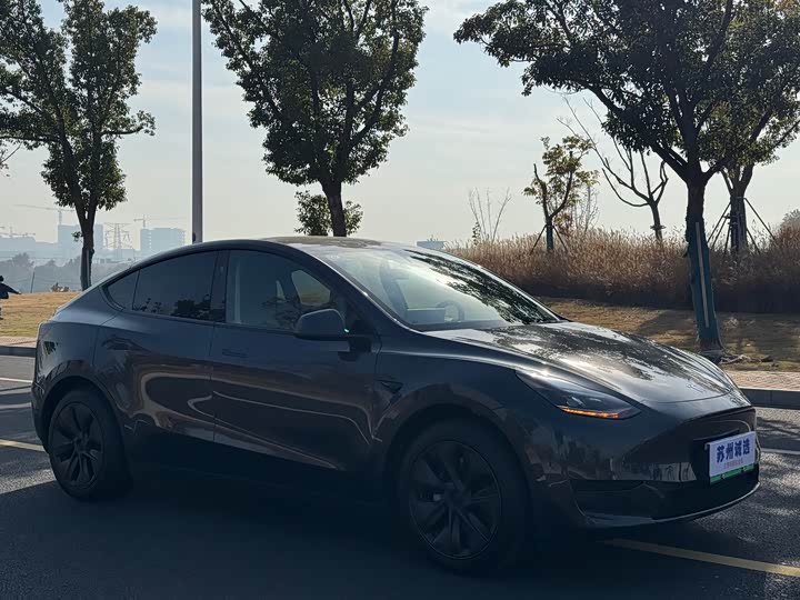 Фото 3 - Tesla Model Y