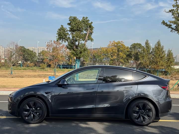 Фото 4 - Tesla Model Y